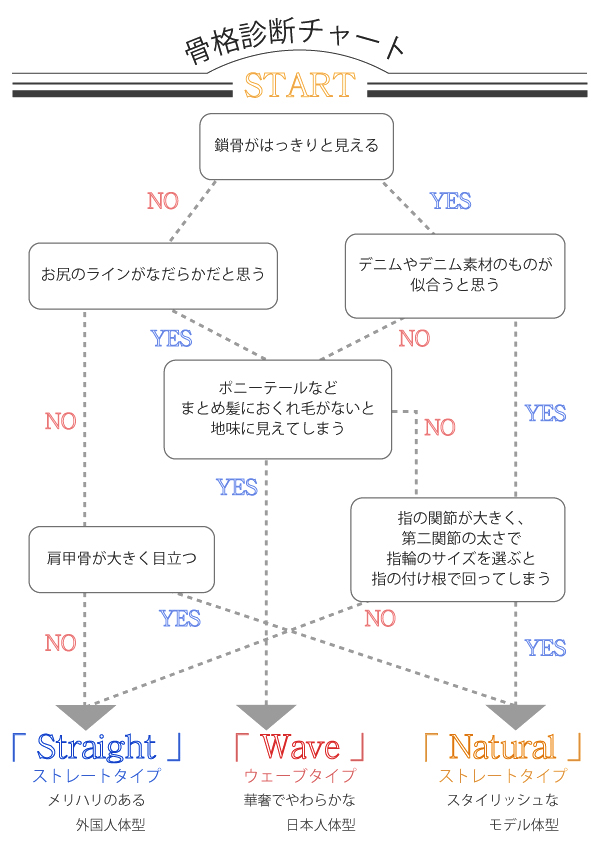 骨格診断チャート図